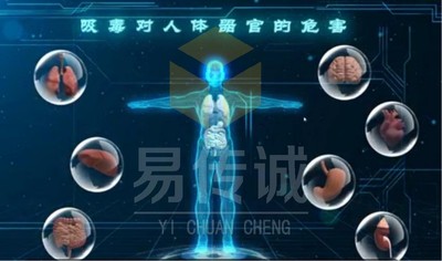 毒品对人体器官的危害（横屏）